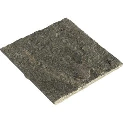 Scherf Trittplatte, LxBxH: 34 X 45 X 2,5-4 Cm, Quarzit, Graugrün