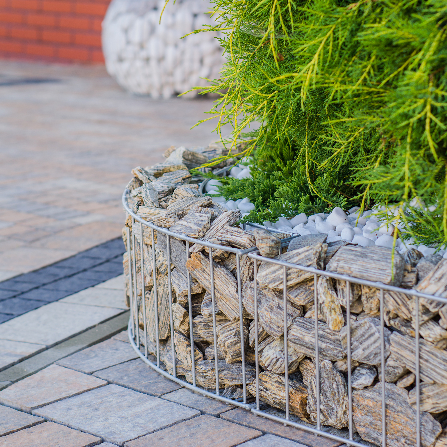 Titelseite 12 Titelseite -wilk-warenhandel shop wilk warenhandel3